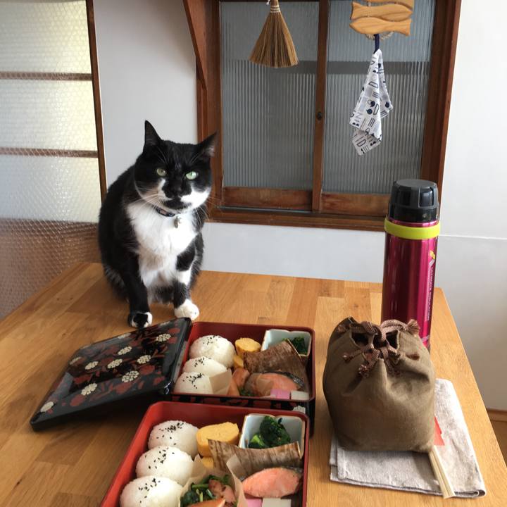 94696d8f 1df0 4e25 884a ce1ef91d7e28