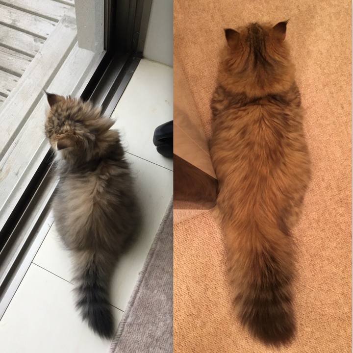 9469ac33 5ca4 4500 917d 062ae3e7d770