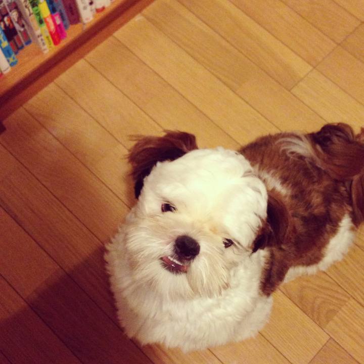 946a8e04 557f 41fb 8b63 9d4cb8484e46