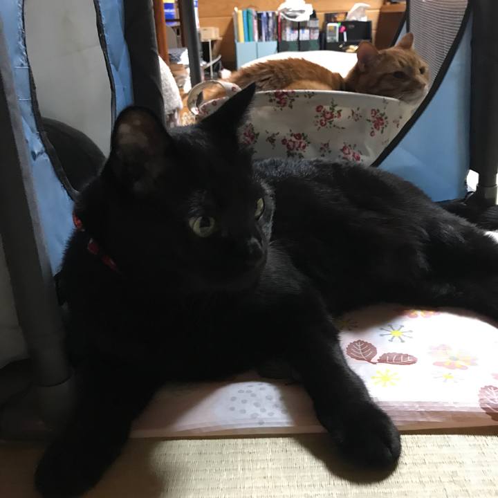 946ab513 aa84 40fc b2b6 d829615366e7