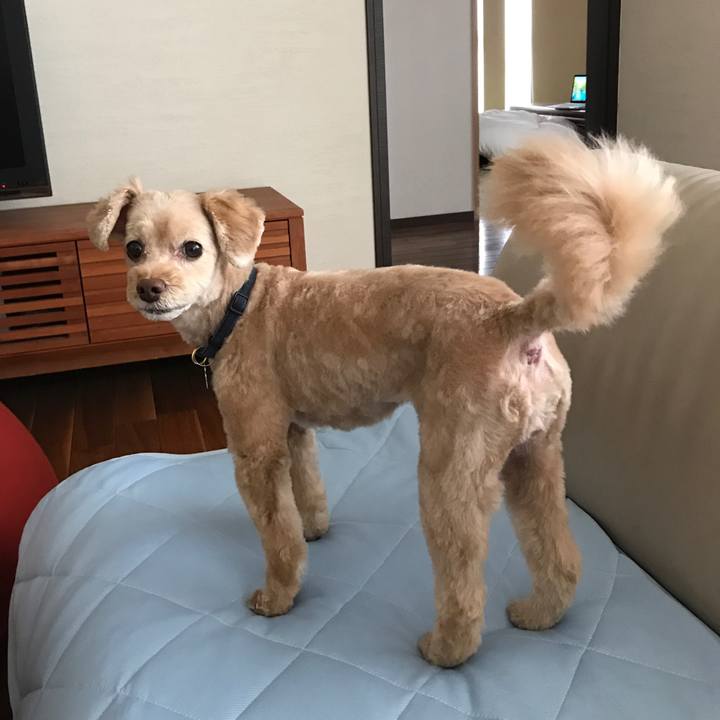 946ae613 4f47 497d afe3 f20362f59f61