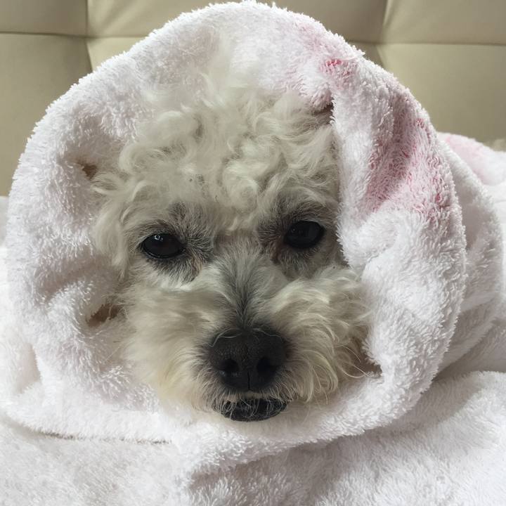 946b2425 803e 4f45 88c1 ebab4cc88179