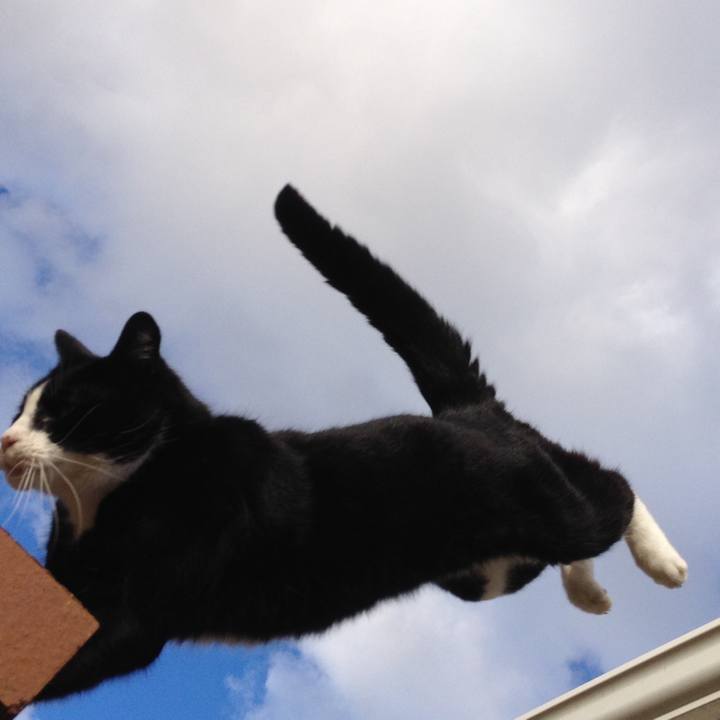 946ba19d 53eb 492f 89ca 45ab11bf4e91