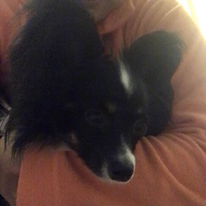 946cd5ae 0deb 459c a688 c20e492f7714