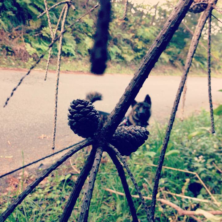 946cf89c 20ed 4eaa 9dce f9ba5b82a370