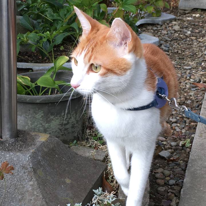 946d388f e0a3 4ca3 a4ba 120c7133c5a8