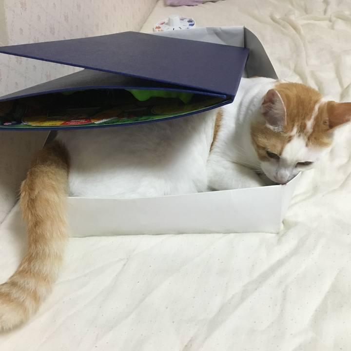 946d8e6f 45e2 4bea a85a 94d5f4dc772a