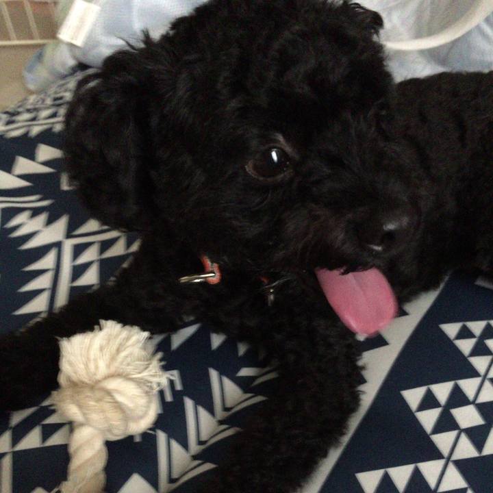 946e44e8 f8ab 45e2 9797 e385774986b0