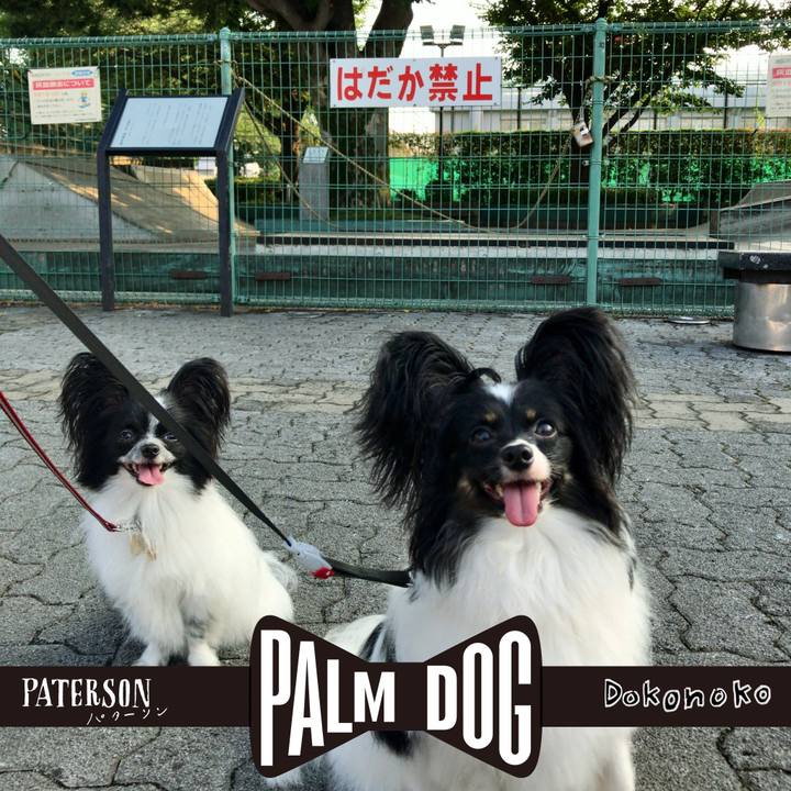 946e794b 3322 4f37 b457 976826a31b3a