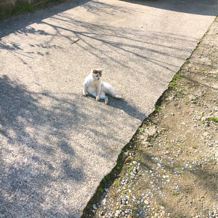 946eb0eb a877 45ac bde7 7cb1b6e712f6