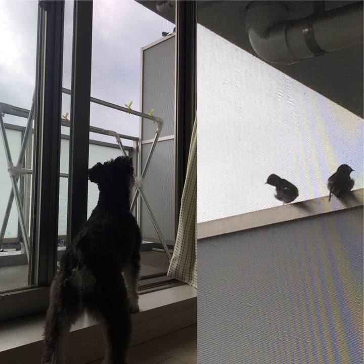 946eeb4a e184 4c2a 8d7e 8eb5466bdfae