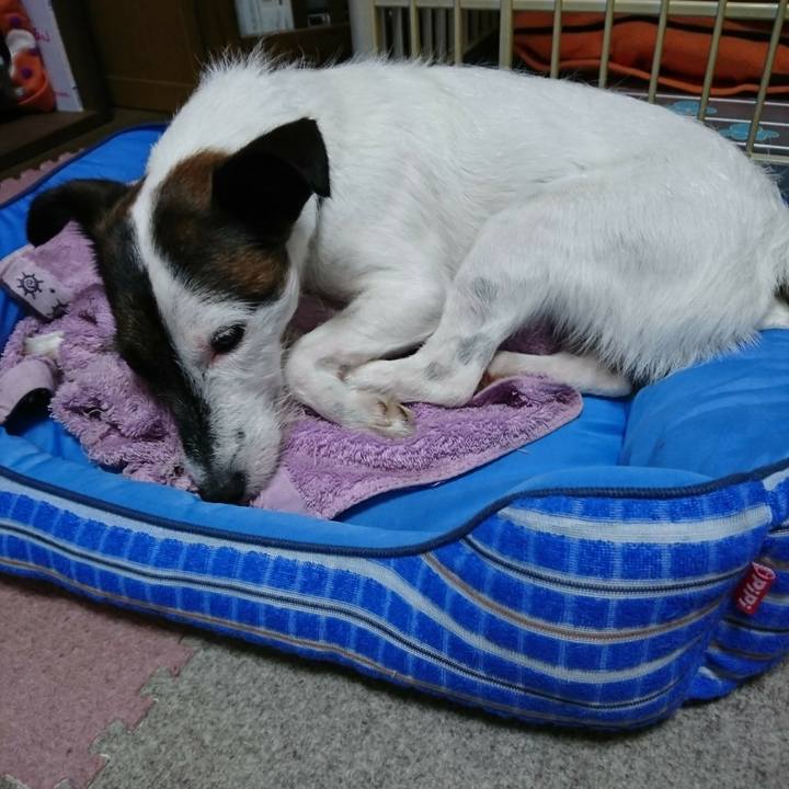 946ef496 1094 4746 8abd 0db55a11aa6e