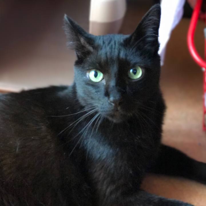 946ef8a7 b02e 4059 b378 06c1fa8bfa30