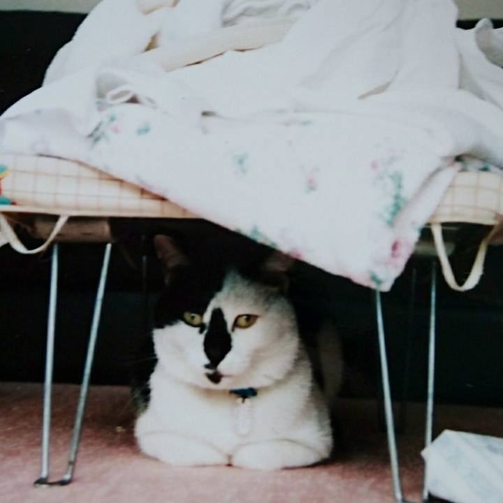 946f047a 5587 44fa 9111 7d7f5dd32474