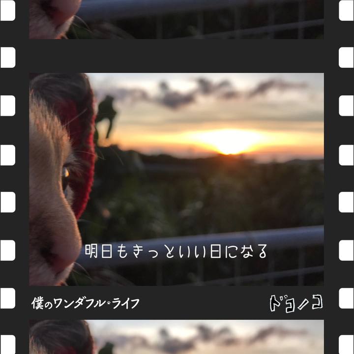 9470342a d714 4a57 bfa0 b623ede1795f