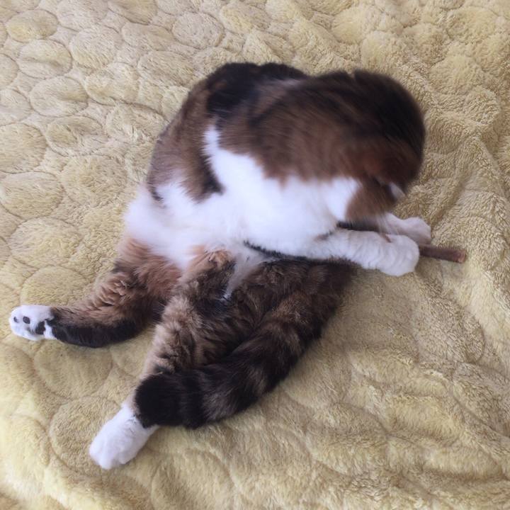 94706141 002f 4839 95c3 e31db1945e7c