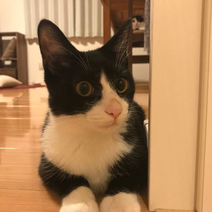 94706829 c689 4304 a7b5 d4bf3aa33423