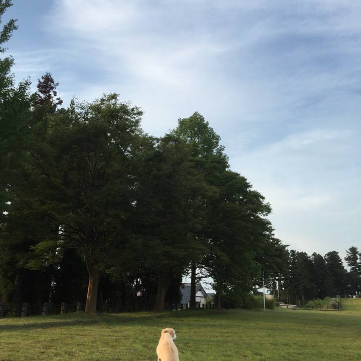 9471950c e496 44fc 9949 13a9de6b9f49