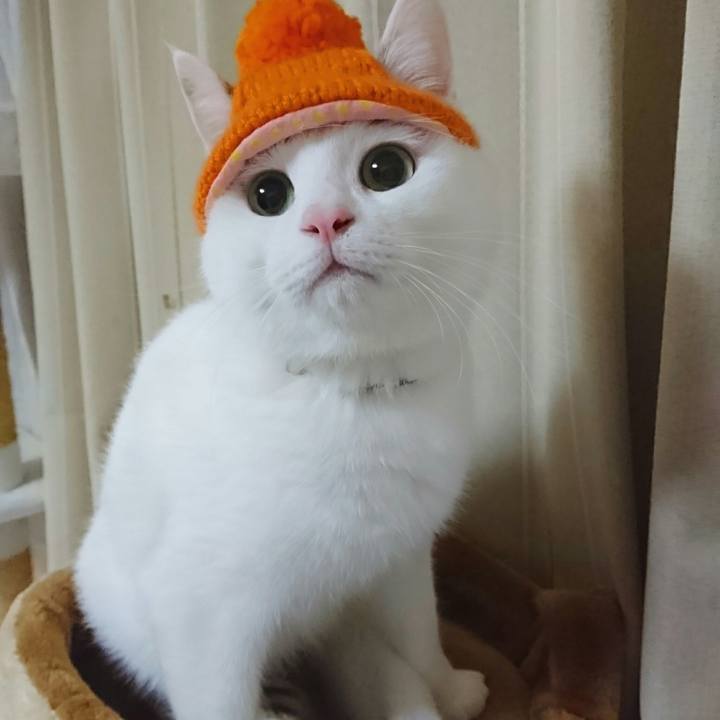 9471db80 0fa2 4053 a228 c9c5013353fb