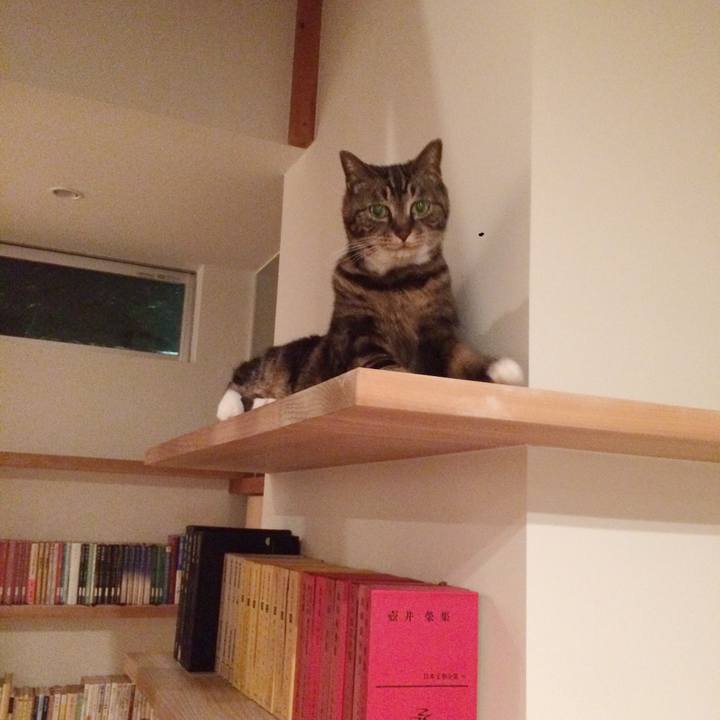 94722ca5 ca62 40c8 afe2 e511e9216db8