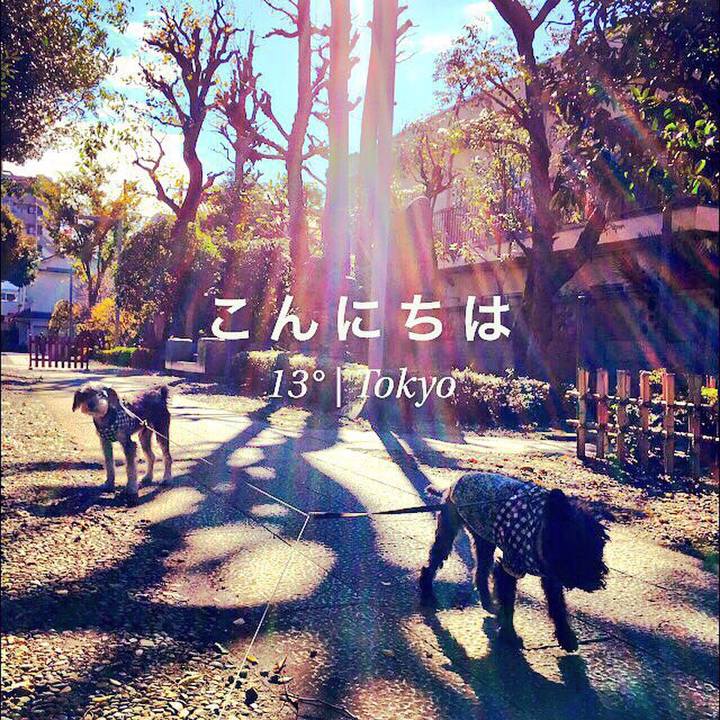 947277d2 d018 463d a2cf 34e722c04946