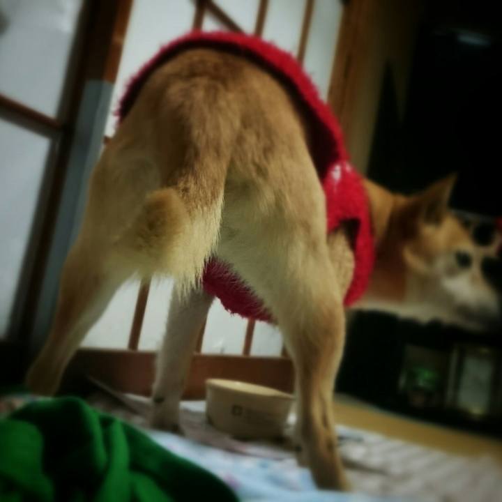 94728dd9 219d 45e5 9d20 569f4b10cbf7