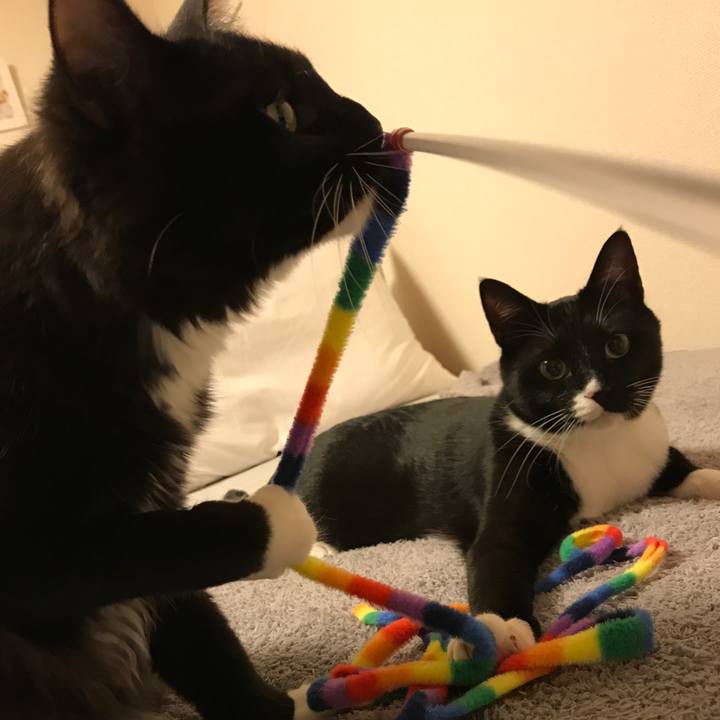 947299a2 be5d 45c6 b65f a2d4ebd1e570