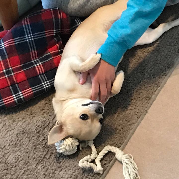 9474c758 daa4 4260 aa92 ea69c3091dd2