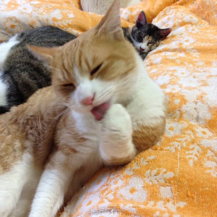 94759186 ba44 4304 accd 36579391be53