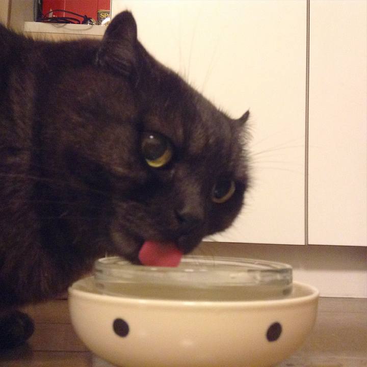 94762777 e692 4b7e b1ed 5767789c48eb