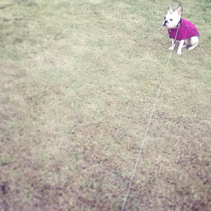 94767870 3464 47e0 b1da 9c0586359789