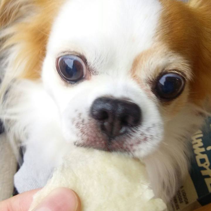 94770456 4097 412f 8350 20acefbc58c8