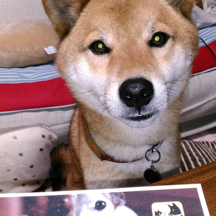 94775043 42d0 4618 a3ce e0174e99eaf1