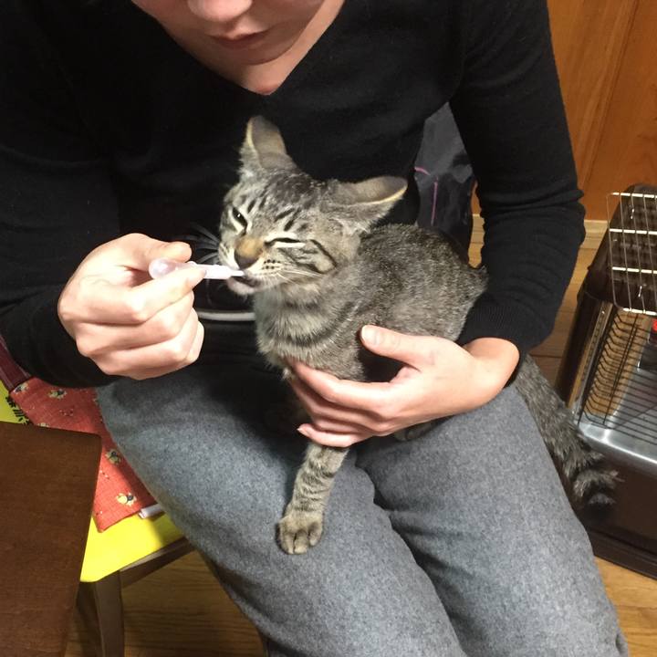 9477e997 4f2a 4c5a 87a6 b37521805fc4