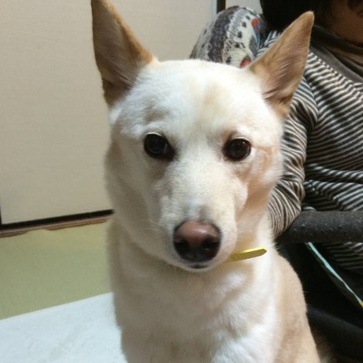 94780dad c2d5 4186 a9eb 2e17035aad58