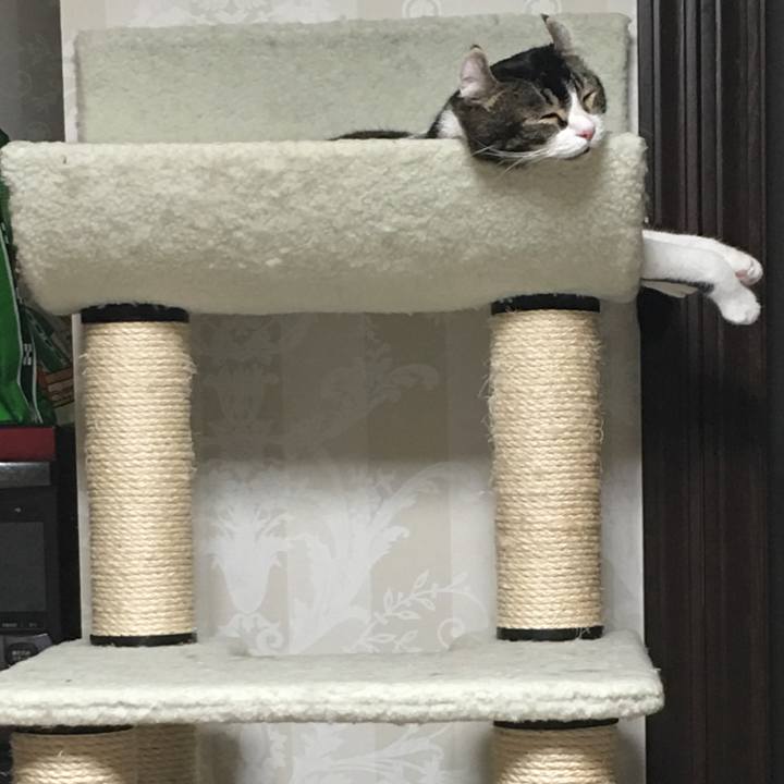 9478a4c1 d130 4df0 8cb0 cba273b12e82