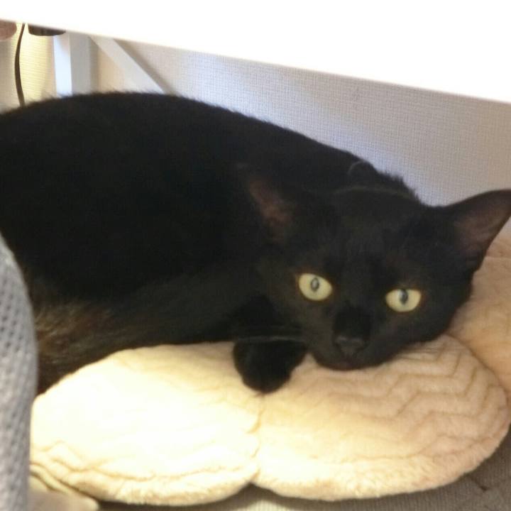 9478c169 3912 4827 b15d 05383d11c783