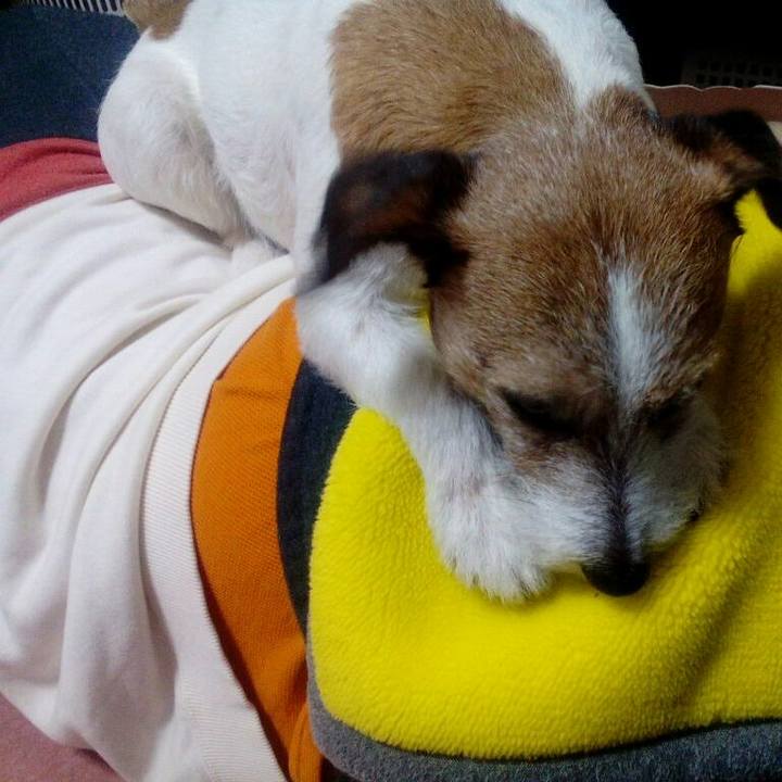 9478f886 a802 4e17 ae0d b9c0fbd5c80f