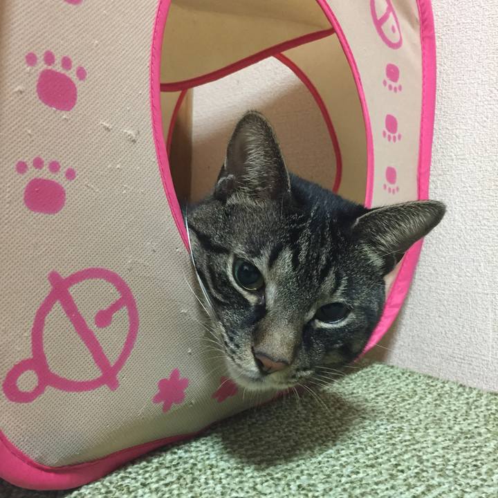 947934ba 2aef 4417 bd55 f7c8b411c897