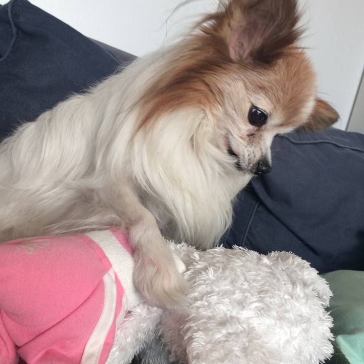 94799099 9e22 4f60 a371 ddaf0209a256