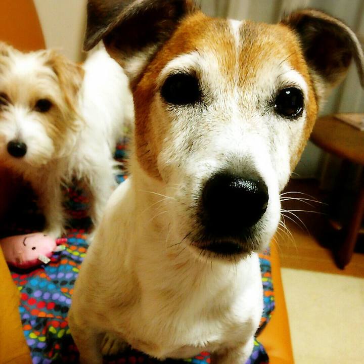 94799ba0 b458 4bf9 8295 d921aa9f7224