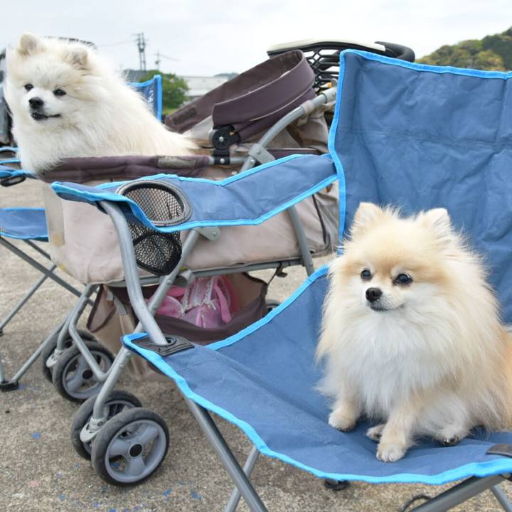 9479cb51 5e74 49da 8af3 3cfd6119a47c