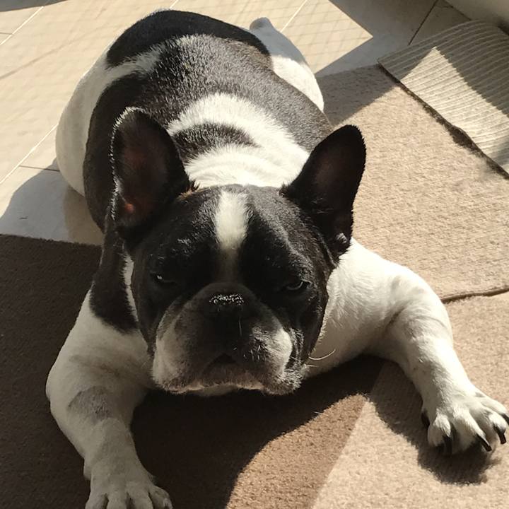 9479d4d8 703f 4112 a8bf 4b6946326b6b