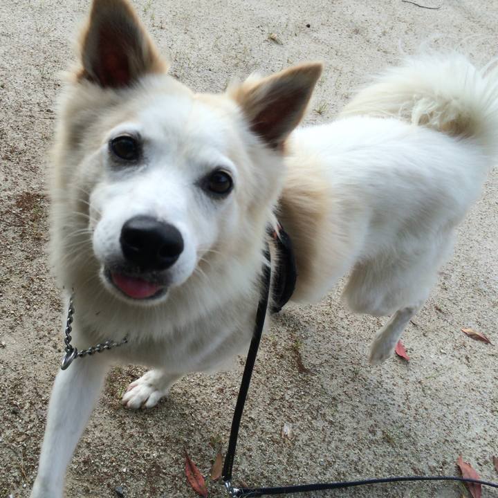 947a8f01 21b7 4a43 ac10 6afd2793dc26