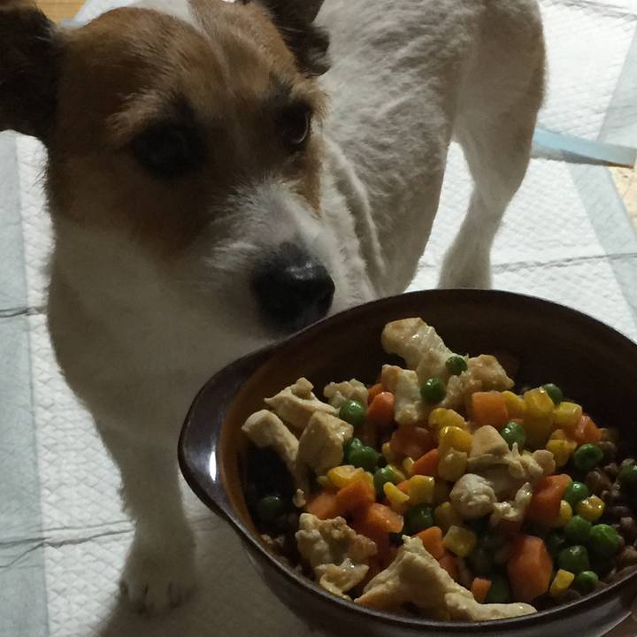 947b7ad4 0afb 4af6 a822 663ec7bfc998