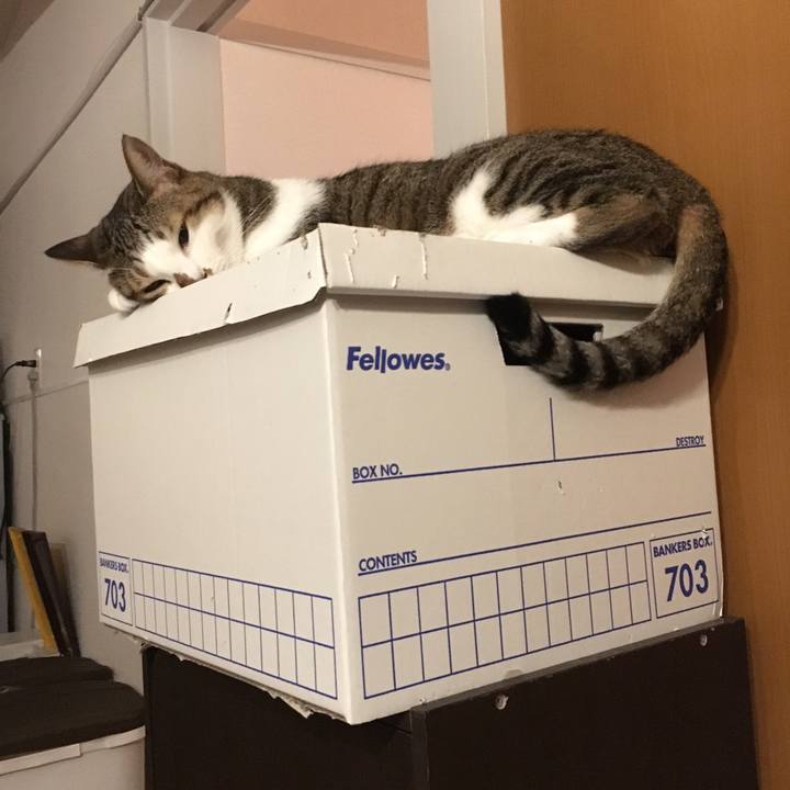 947c1f11 a621 4c6d ba84 99c97f8be1ff