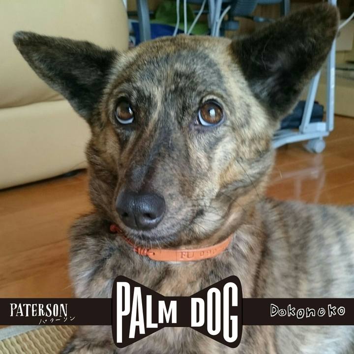 947d53bd f5d2 48a0 a4ab 038f5e72871b