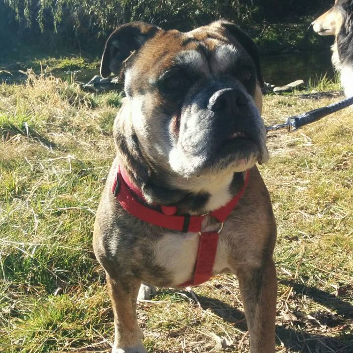 947d6b38 00e7 4684 886c 717cee22e2cf