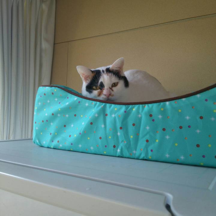 947d7d46 4b58 476d 91b8 58cff37b531e