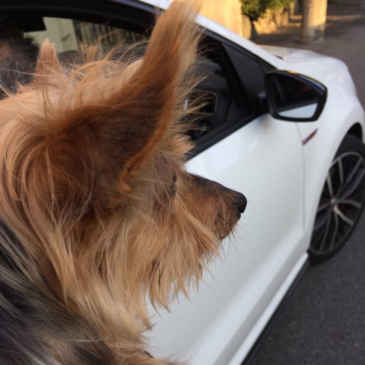 947e0dbc 6ec2 47e6 af03 46e173d35763